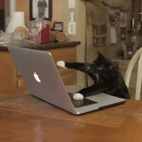 Crazy Coding